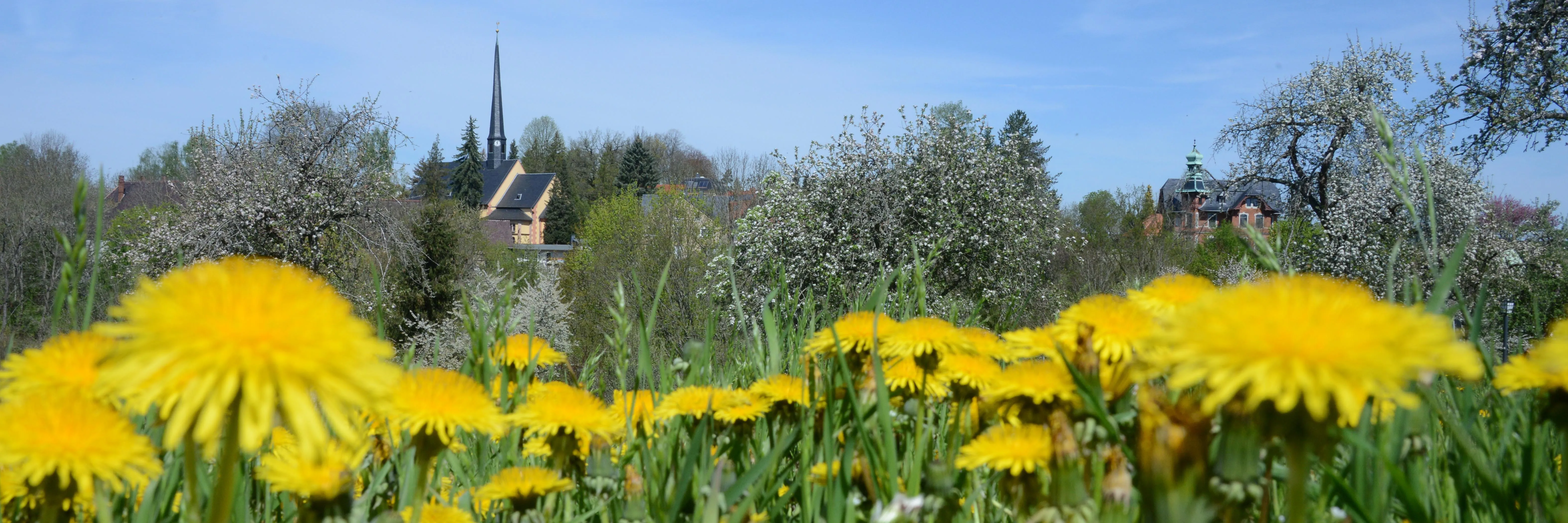 Frühling Rochsburg
