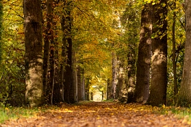 Hörstel Herbstlandschaft 02-f1923.jpg © Stadt Lunzenau