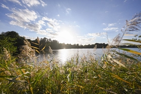 Hörstel See Torfmoorsee 03.jpg © Stadt Lunzenau