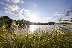 Hörstel See Torfmoorsee 03.jpg