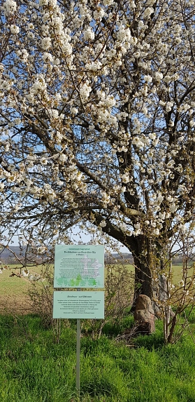Sühnekreuze © Stadt Lunzenau